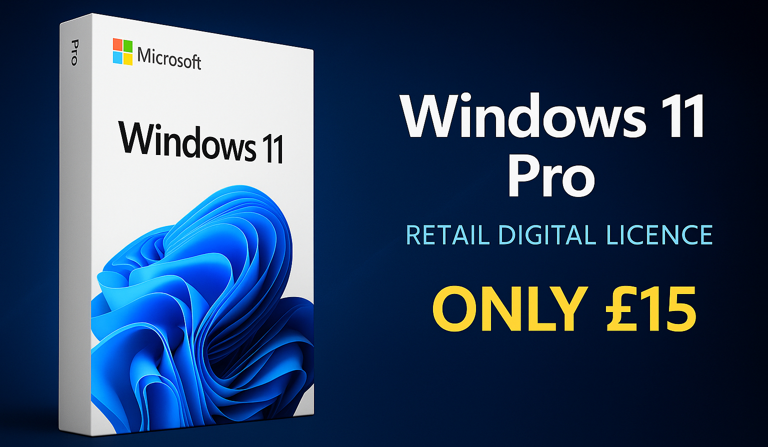 Windows 11 Pro Licence